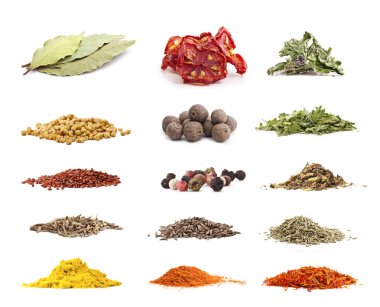 Collection of spices and herbs clipart