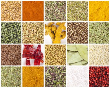 Collection of different spices and herbs clipart