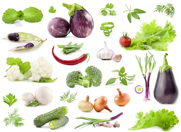 Coleta de verduras — Fotografia de Stock