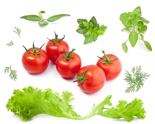Samling av gröna blad och tomater — Stockfoto