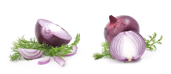Zbiory cebuli — Zdjęcie stockowe