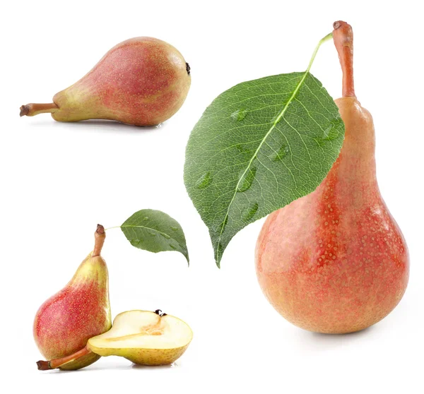 Collection on pears — Stock Photo, Image