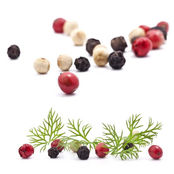 Collection of dill and pepper — Stock Photo, Image