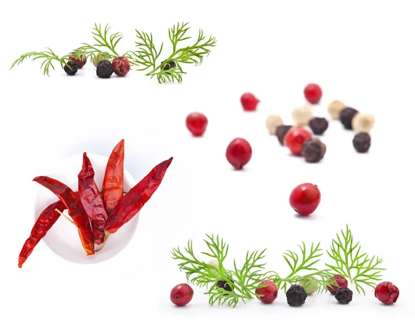 Collection of pepper and dill — Stock Photo, Image