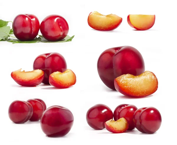 Collection of red plum — Stock Photo, Image