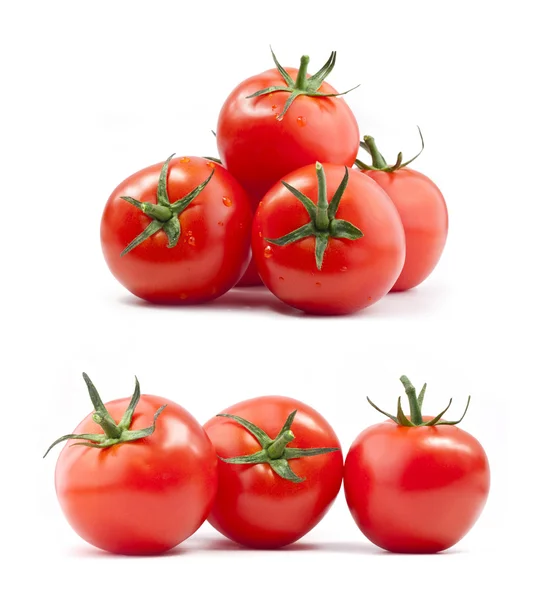 Tomatensammlung Stockbild