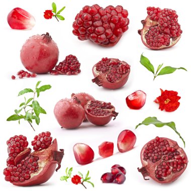 Collection of red pomegranate fruits clipart