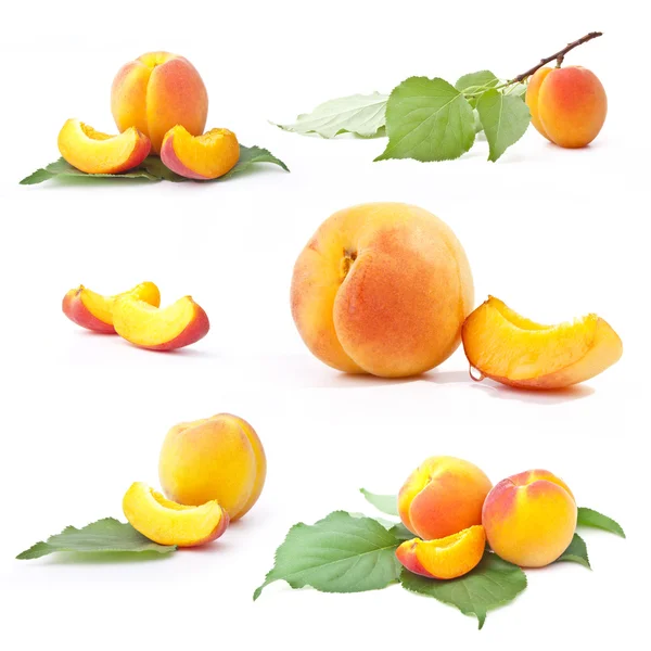 Коллекция абрикоса с листом — стоковое фото