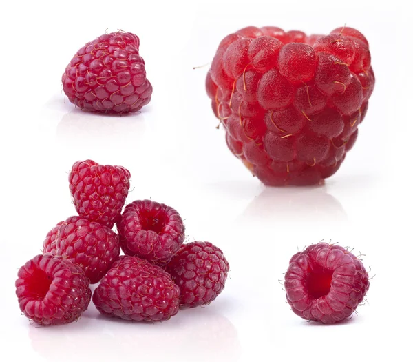 Collection of raspberry — Stock Photo, Image