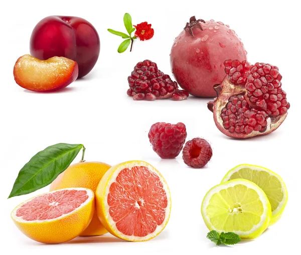Collectie van fruit — Stockfoto