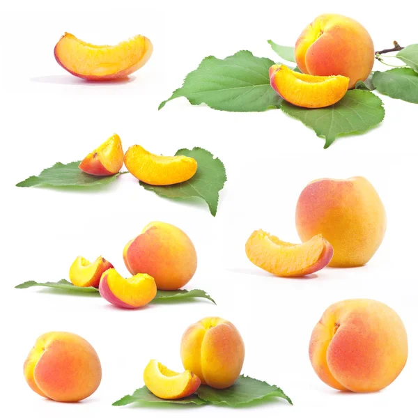 Aprikosensammlung mit Blatt — Stockfoto