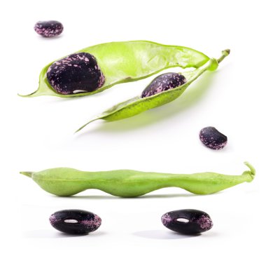 Pods and beans clipart