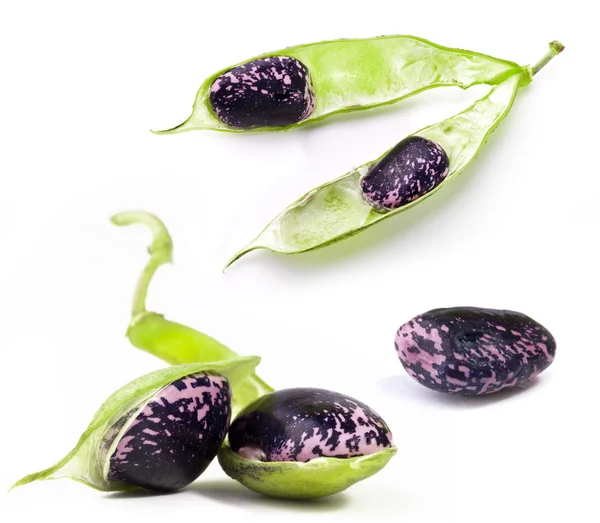 Pods and beans — Stock Photo, Image
