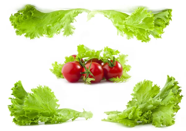 Hlávkový salát a rajčata — Stock fotografie