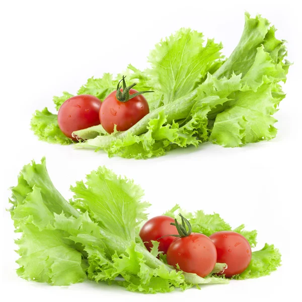 Салат и помидоры — стоковое фото