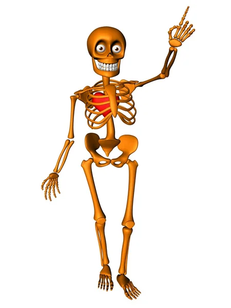 Cute human body skeleton with red heart — Stock Photo, Image