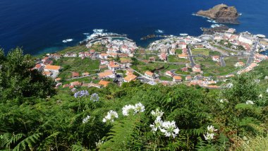 Porto Moniz - Madeira clipart