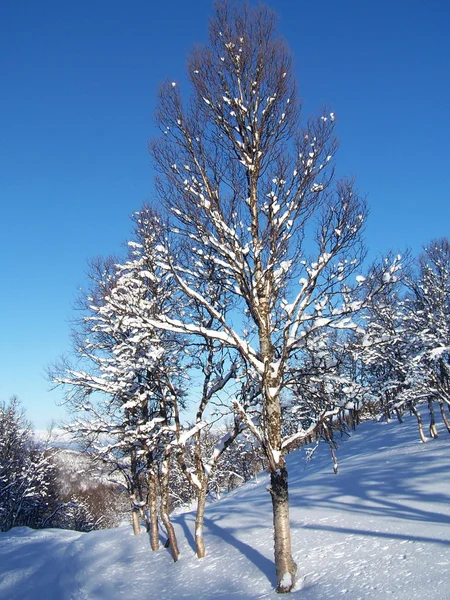 Winterlandschaft i norwegen — Stockfoto