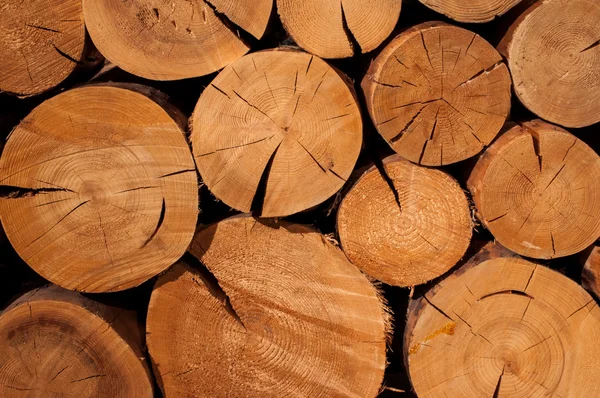 stock image Firewood