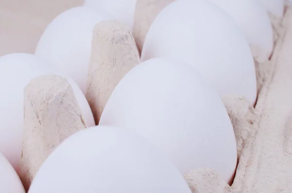 Vita ägg på nära håll — Stock fotografie