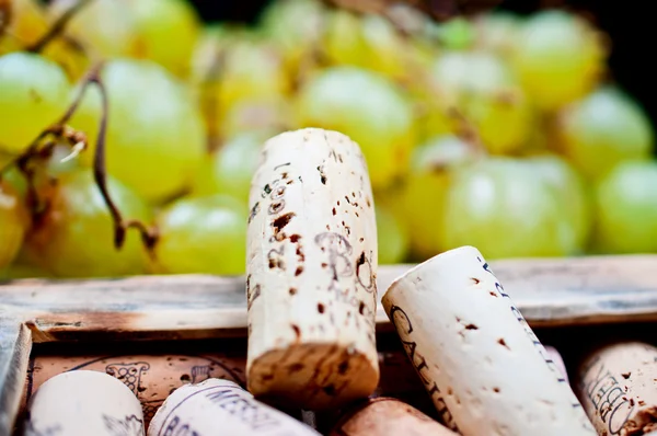 Bouchons de vin dans le cadre sur fond de raisin — Photo