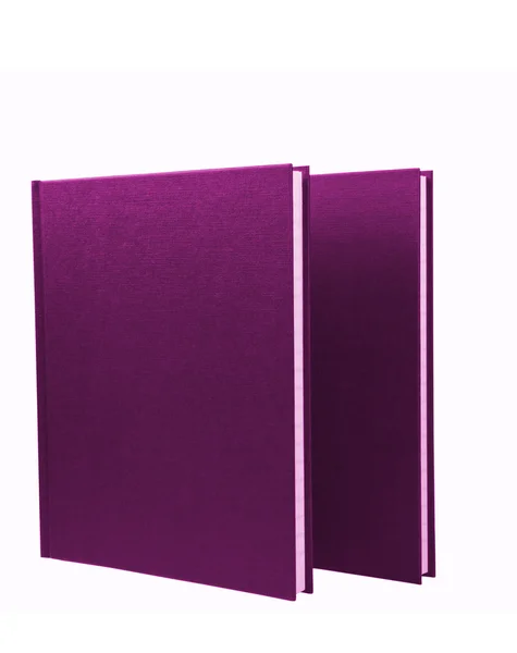 Dos bloc de notas púrpura aislados —  Fotos de Stock