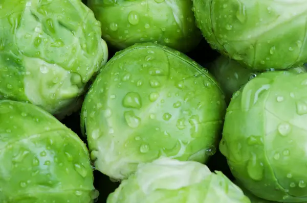 Brussels sprouts background — Stock Photo, Image