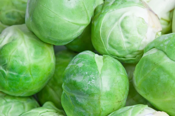 Brussels sprouts background close up — Stock Photo, Image