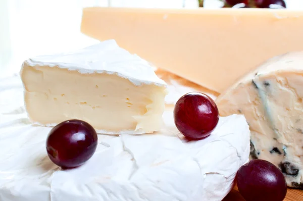 Brie parmesan ve mavi peynir — Stok fotoğraf