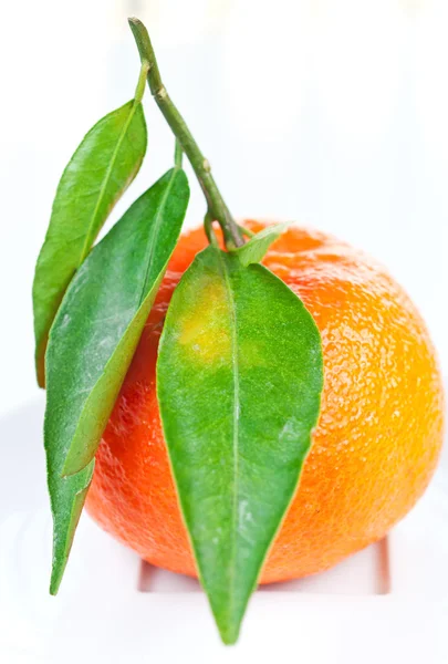 Tangerine aux feuilles vertes sur une assiette — Photo