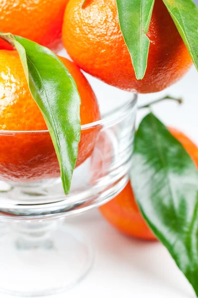 Tangeriner med gröna blad i vas på nära håll — Stockfoto