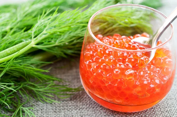 Lachskaviar in Gläsern auf Dill-Hintergrund in Nahaufnahme — Stockfoto