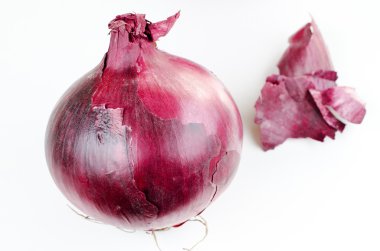 Vidalia onion clipart