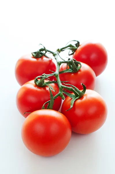 完熟チェリー トマトの枝 — ストック写真