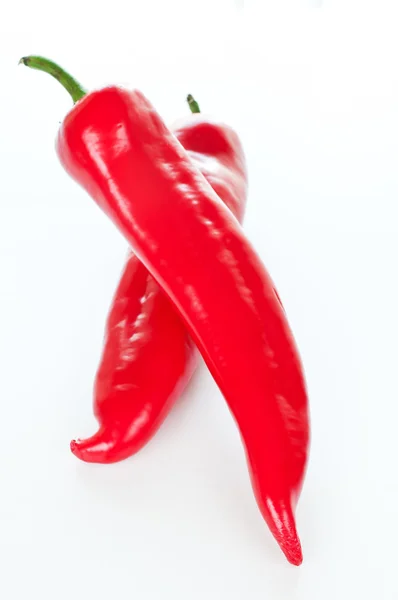 在白色背景上的两个红辣椒辣椒 — 图库照片