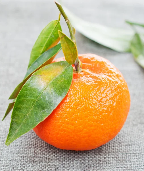 Mandarin med gröna blad — Stockfoto