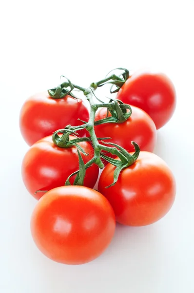 Branch of ripe cherry tomatoes close up — Stock Photo, Image