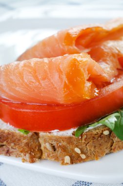 Close up salmon sadwich clipart