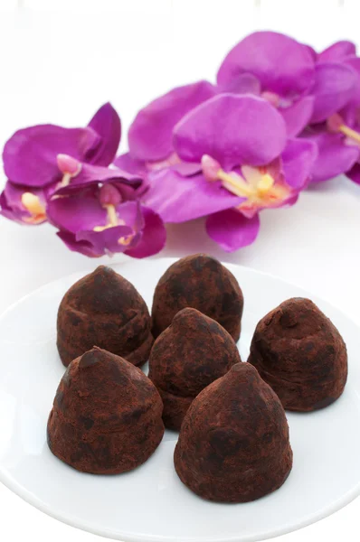 Chocolade truffel close-up — Stockfoto