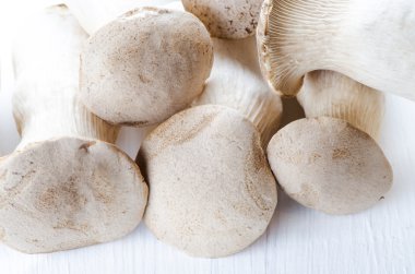 Mushrooms clipart