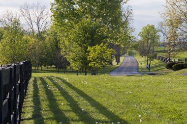 kentucky bahar itibariyle ülkede yol