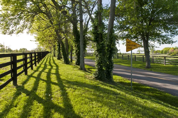在春季的肯塔基州的乡村道路 — 图库照片