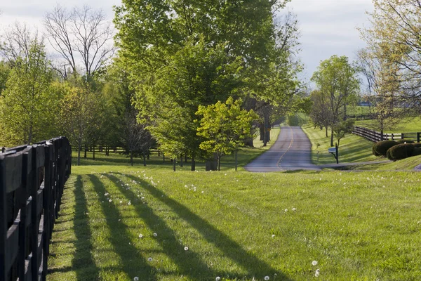 Estrada do campo em Kentucky na primavera — Fotografia de Stock
