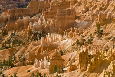 bryce canyon güzel kaya oluşumu.