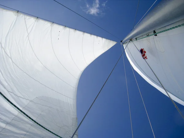 stock image Sails on the blue sky