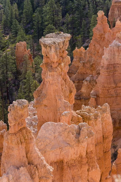 Hermosa formación rocosa en Bryce Canyon . — Foto de Stock