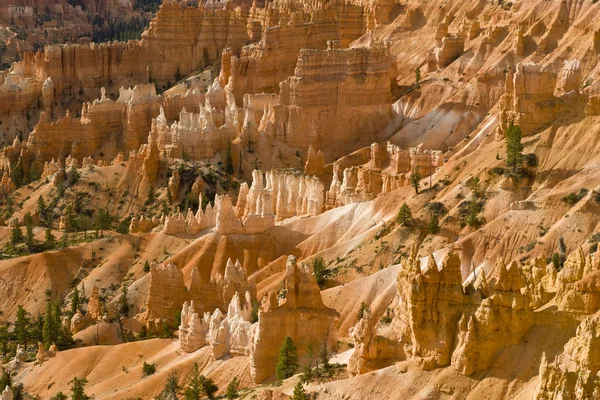 Krásné skalní útvar v bryce canyon. — Stock fotografie