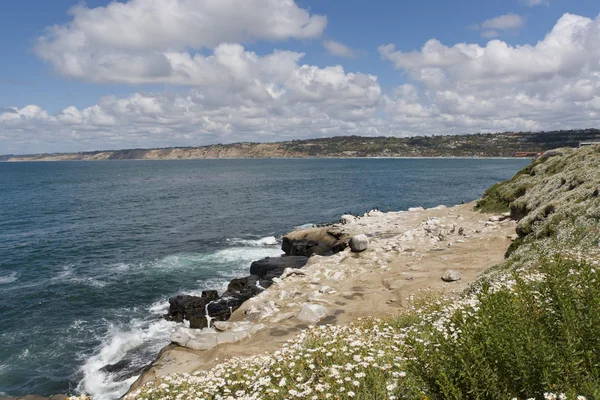 La Jolla Cliff View with Brown Pelicans, and Brandt's Cormorant — Stock Photo, Image