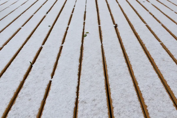 Nieve fresca en tablas de cubierta. Antecedentes de su texto . — Foto de Stock