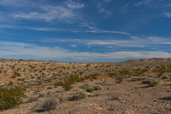 Paesaggio desertico — Foto Stock